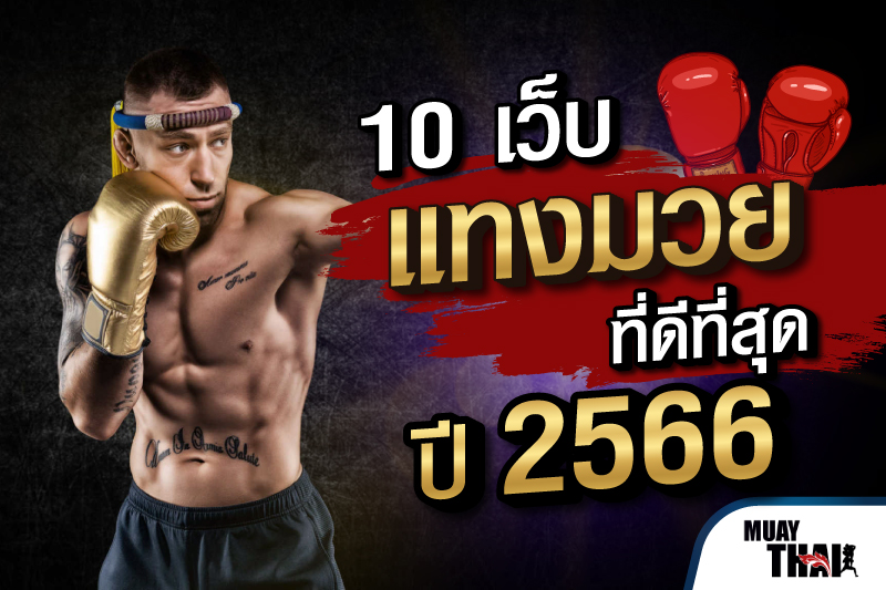 แทงมวยออนไลน์ เว็บไหนดี แทงมวยออนไลน์ เว็บไหนดี